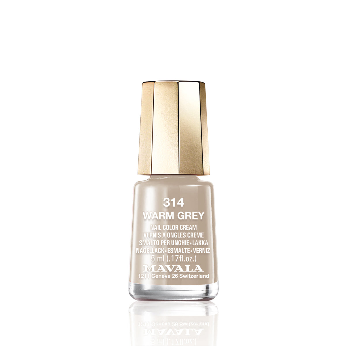 Mini Color Nail Polish Grey